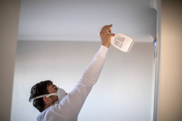 Best Affordable Mold Removal  in Finley, WA