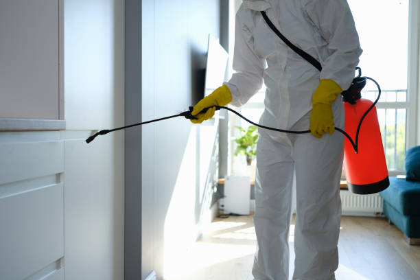 Best Emergency Mold Removal  in Finley, WA