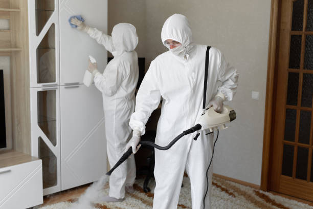 Best Fast Mold Removal  in Finley, WA